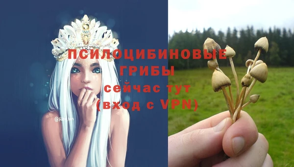 MESCALINE Богданович