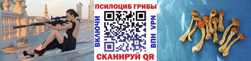 Галлюциногенные грибы Psilocybe  Вельск 