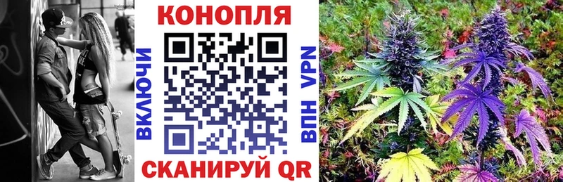 Канабис OG Kush  omg зеркало  Вельск 